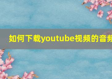 如何下载youtube视频的音频