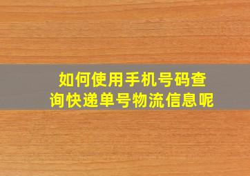 如何使用手机号码查询快递单号物流信息呢