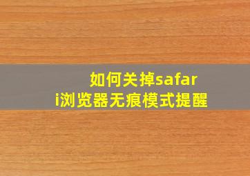 如何关掉safari浏览器无痕模式提醒