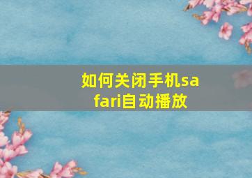 如何关闭手机safari自动播放