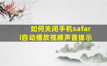 如何关闭手机safari自动播放视频声音提示