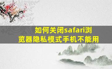 如何关闭safari浏览器隐私模式手机不能用