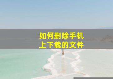 如何删除手机上下载的文件