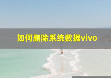 如何删除系统数据vivo