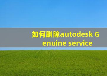 如何删除autodesk Genuine service