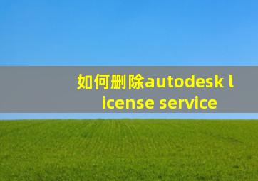 如何删除autodesk license service