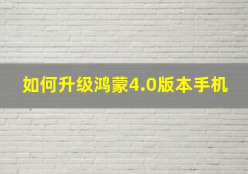 如何升级鸿蒙4.0版本手机