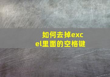 如何去掉excel里面的空格键