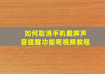 如何取消手机截屏声音提醒功能呢视频教程