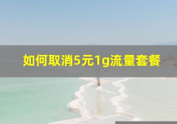 如何取消5元1g流量套餐