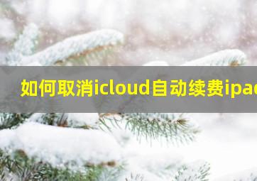 如何取消icloud自动续费ipad