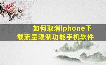 如何取消iphone下载流量限制功能手机软件