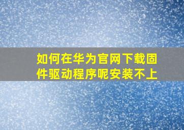 如何在华为官网下载固件驱动程序呢安装不上