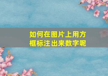 如何在图片上用方框标注出来数字呢