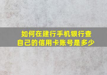 如何在建行手机银行查自己的信用卡账号是多少