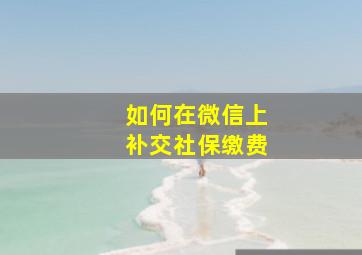 如何在微信上补交社保缴费