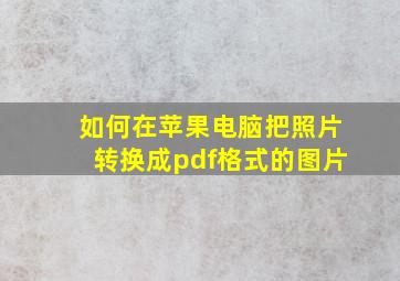 如何在苹果电脑把照片转换成pdf格式的图片