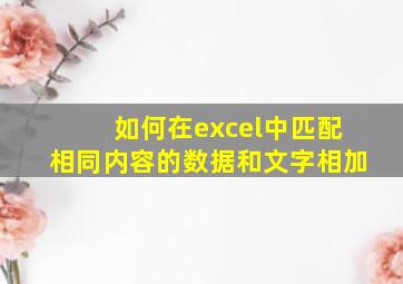 如何在excel中匹配相同内容的数据和文字相加