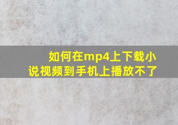 如何在mp4上下载小说视频到手机上播放不了