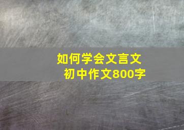 如何学会文言文初中作文800字