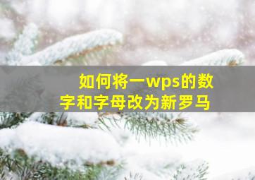 如何将一wps的数字和字母改为新罗马