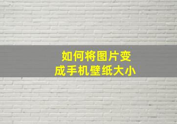 如何将图片变成手机壁纸大小