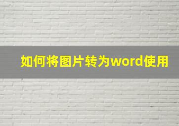 如何将图片转为word使用