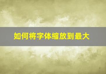 如何将字体缩放到最大