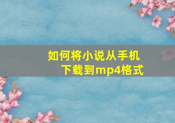 如何将小说从手机下载到mp4格式