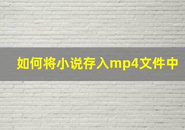 如何将小说存入mp4文件中