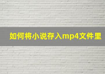 如何将小说存入mp4文件里