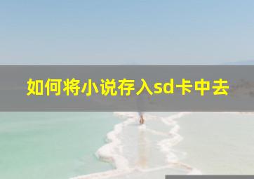 如何将小说存入sd卡中去