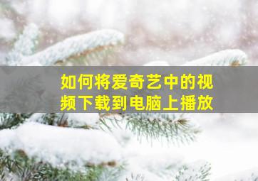 如何将爱奇艺中的视频下载到电脑上播放