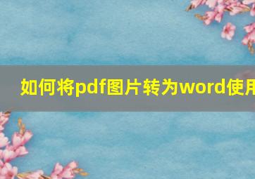 如何将pdf图片转为word使用