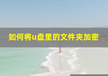 如何将u盘里的文件夹加密