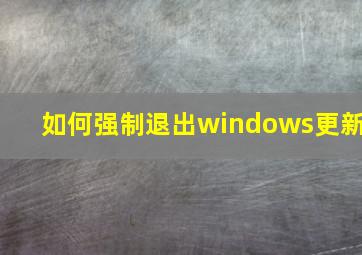 如何强制退出windows更新