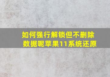 如何强行解锁但不删除数据呢苹果11系统还原