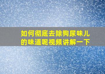 如何彻底去除狗尿味儿的味道呢视频讲解一下