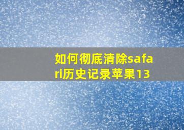 如何彻底清除safari历史记录苹果13