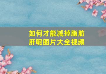 如何才能减掉脂肪肝呢图片大全视频