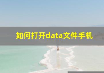 如何打开data文件手机