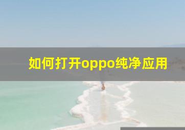 如何打开oppo纯净应用