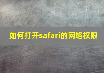 如何打开safari的网络权限