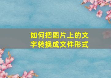 如何把图片上的文字转换成文件形式