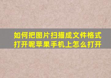 如何把图片扫描成文件格式打开呢苹果手机上怎么打开