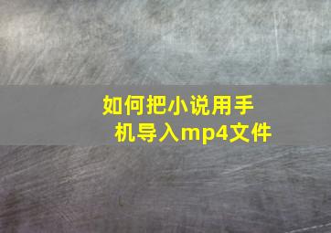 如何把小说用手机导入mp4文件