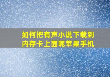 如何把有声小说下载到内存卡上面呢苹果手机