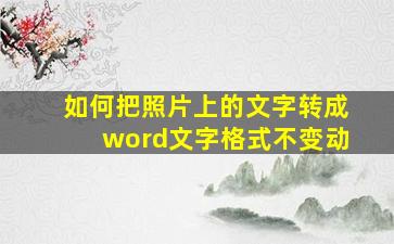 如何把照片上的文字转成word文字格式不变动