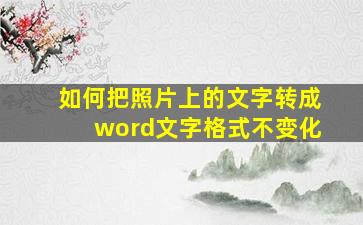 如何把照片上的文字转成word文字格式不变化