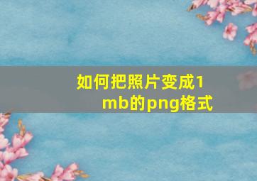 如何把照片变成1mb的png格式